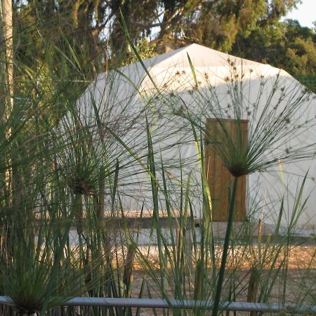 Yarok Az - Ecolodge Farm Ilaniya Rom bilde
