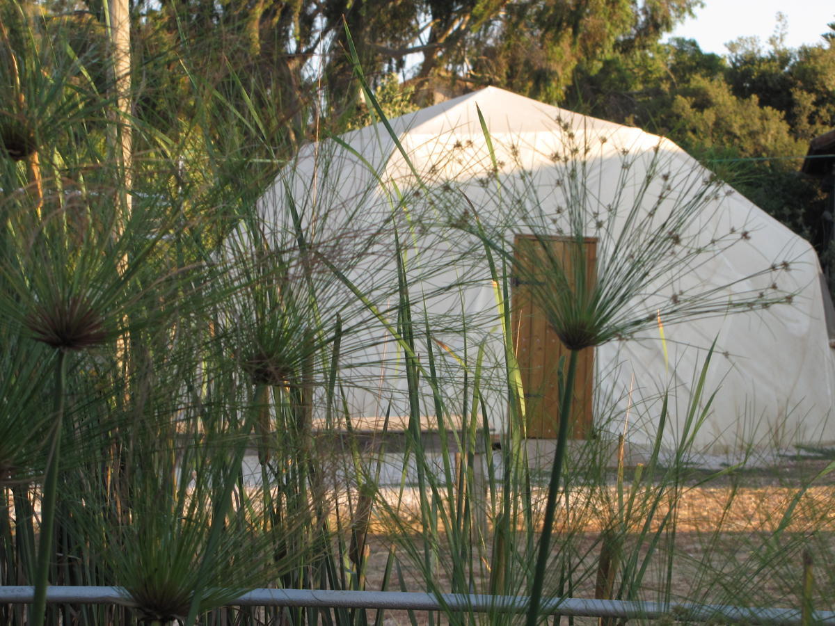 Yarok Az - Ecolodge Farm Ilaniya Rom bilde