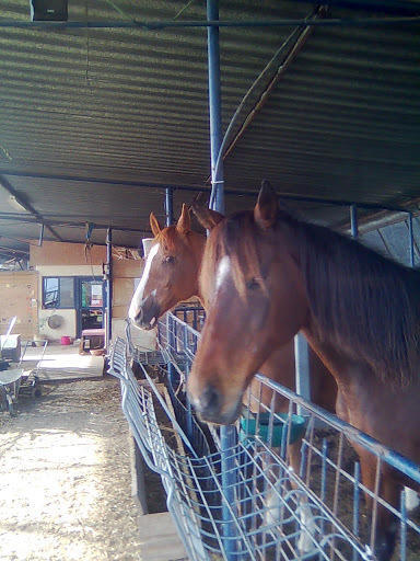 Yarok Az - Ecolodge Farm Ilaniya Eksteriør bilde