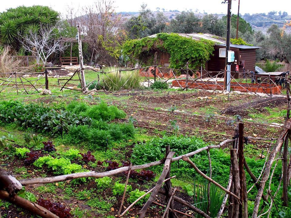 Yarok Az - Ecolodge Farm Ilaniya Eksteriør bilde